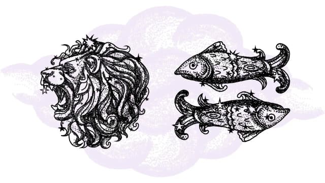 Lew i Ryby dopasowanie: Jak te znaki zodiaku się dogadują? Lew i Ryby dopasowanie: Jak te znaki zodiaku się dogadują?